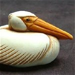 Pelican